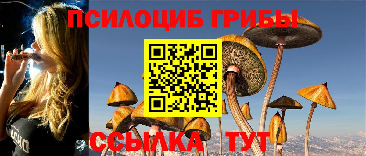 Галлюциногенные грибы мухоморы  Вход с VPN  Галлюциногенные грибы ЛСД  Дюртюли 